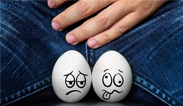 性生活中睾丸起到什么作用 男人蛋蛋的真实作用(图4)