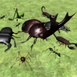 昆虫战斗模拟器